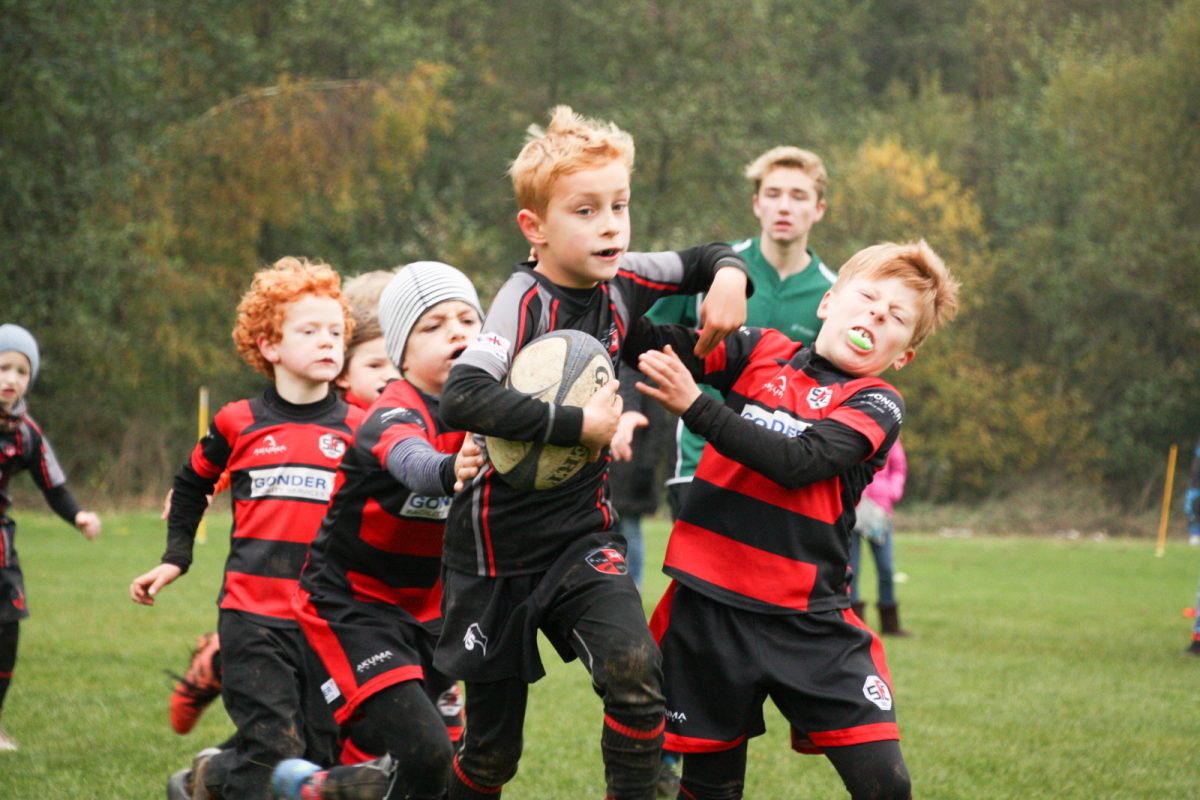 Unsere Rugby Tiger kämpfen vor heimischem Publikum