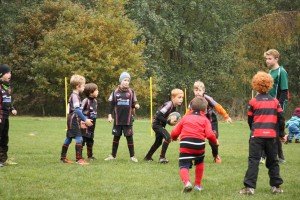 201611-rugbytiger-turnier-marburg-1730