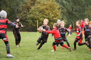 201611-rugbytiger-turnier-marburg-1731