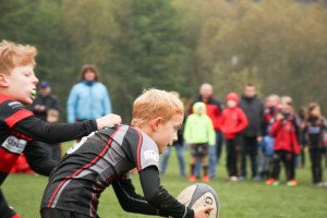 201611-rugbytiger-turnier-marburg-1740