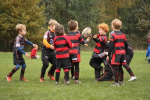 201611-rugbytiger-turnier-marburg-1743