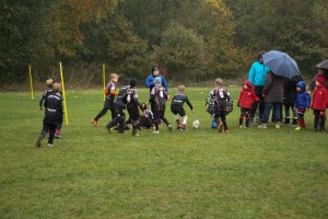 201611-rugbytiger-turnier-marburg-1914