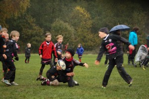 201611-rugbytiger-turnier-marburg-2058