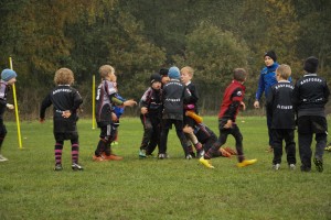 201611-rugbytiger-turnier-marburg-2094