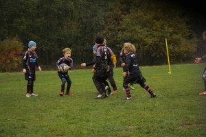 201611-rugbytiger-turnier-marburg-2109