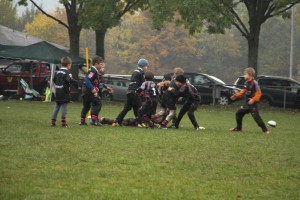 201611-rugbytiger-turnier-marburg-2188