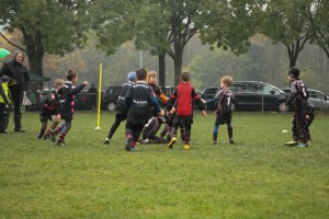 201611-rugbytiger-turnier-marburg-2264