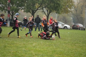 201611-rugbytiger-turnier-marburg-2268