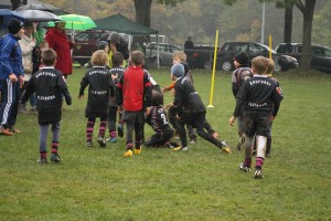 201611-rugbytiger-turnier-marburg-2288